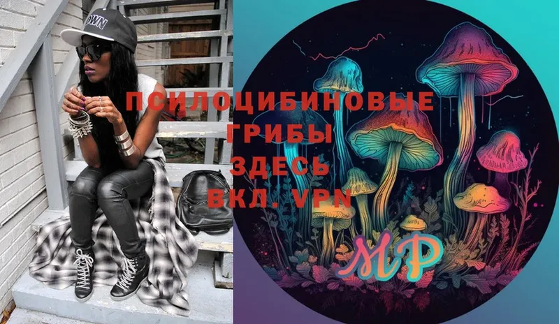 Галлюциногенные грибы Psilocybe  продажа наркотиков  Воткинск 